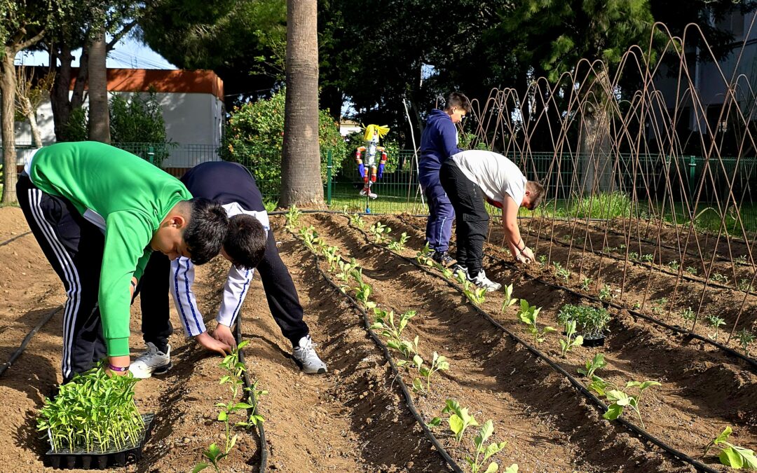 Verduras de verano